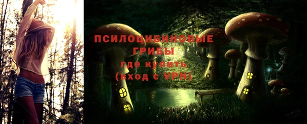герыч Алексин