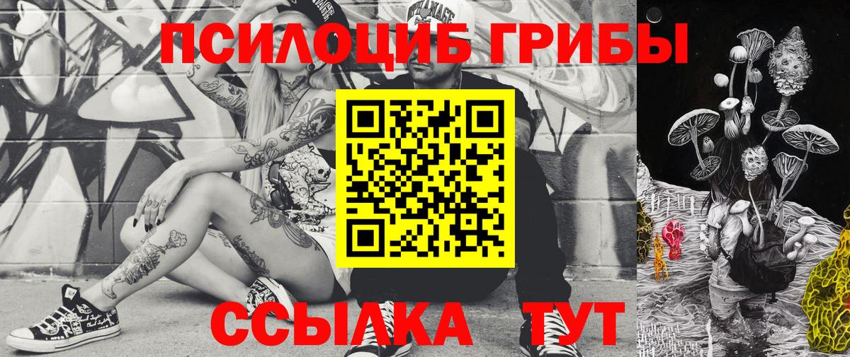 A PVP Губкин