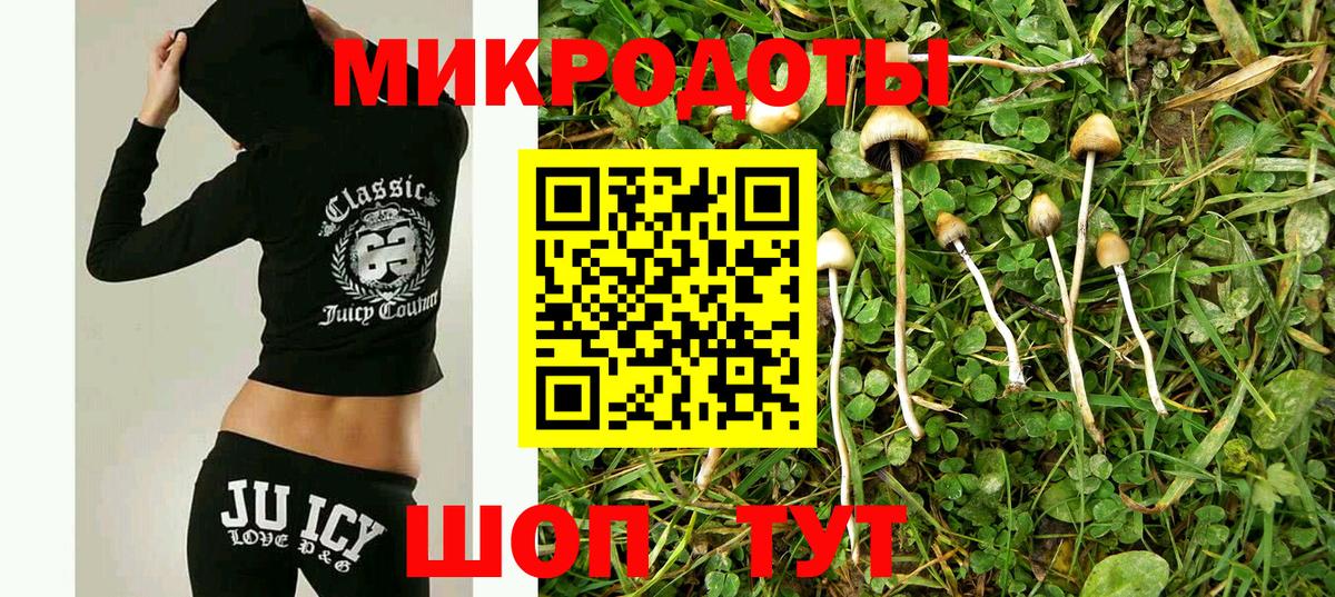 Галлюциногенные грибы мухоморы  дарнет шоп  Вход с VPN  Губкин  Псилоцибиновые грибы мухоморы 